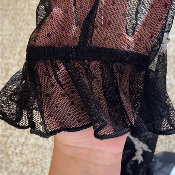 Sheer Top - Picture 4 of 4